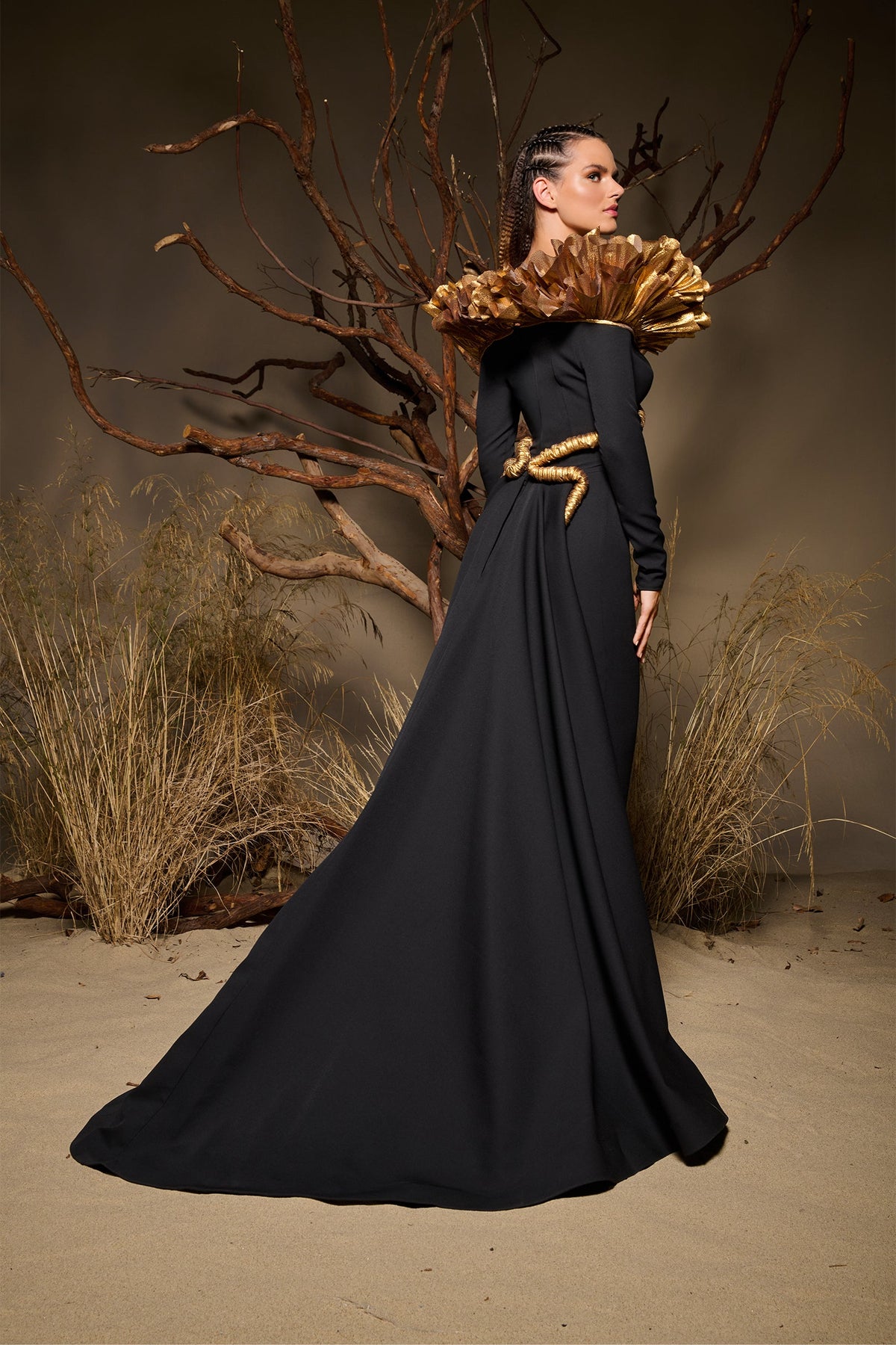 Gilded Fan Collar Gown