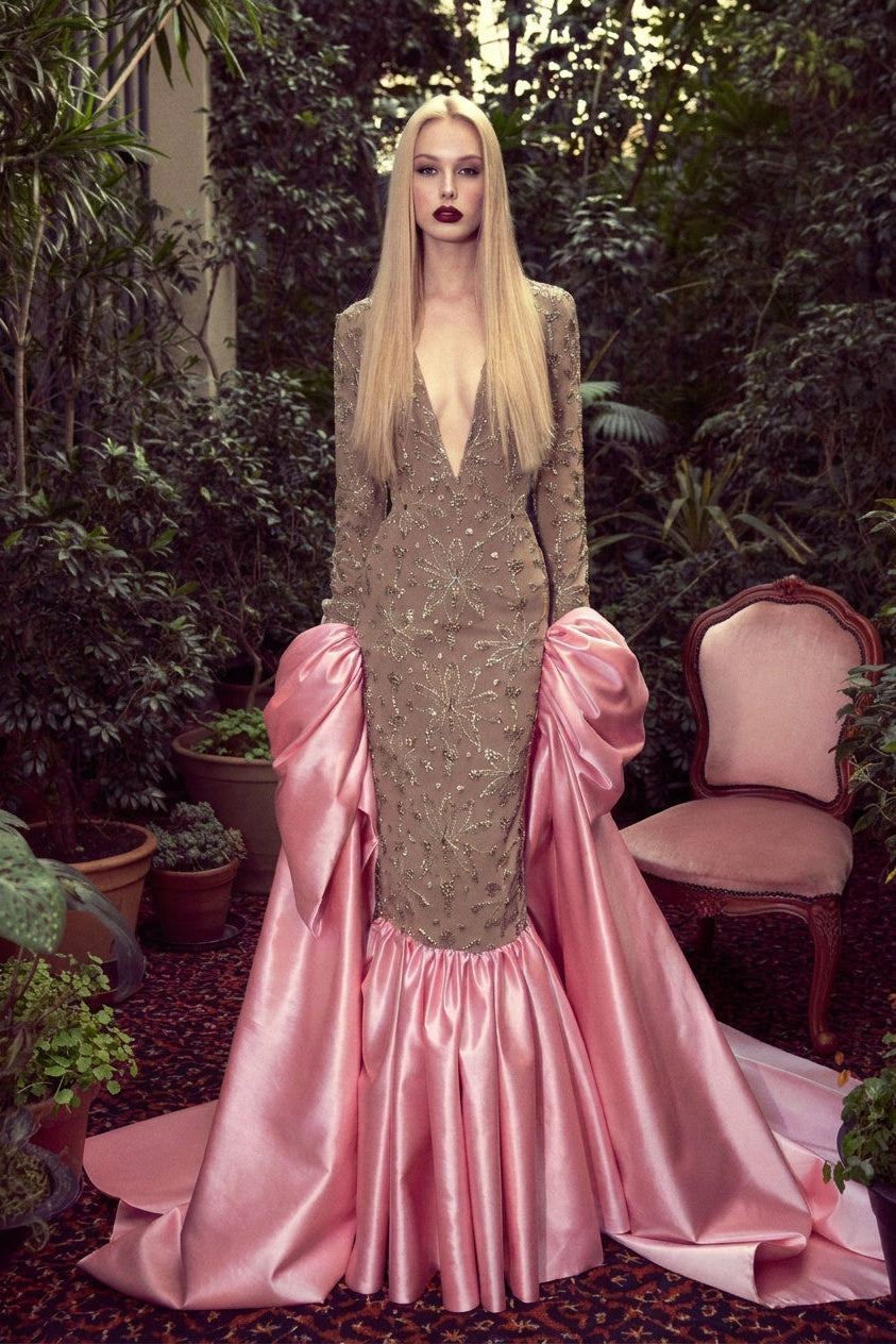 Long Sleeve V-Neck Gown