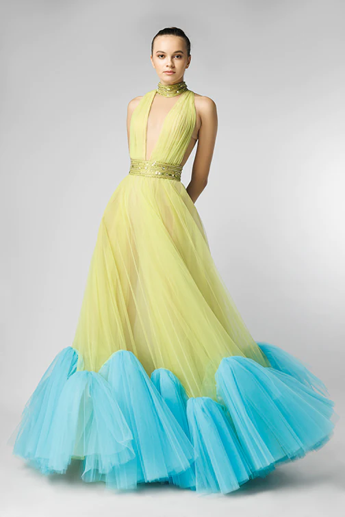 Plunging Neck Gown