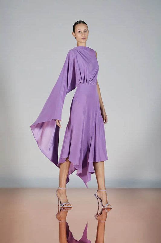 Long Sleeve Baso Dress