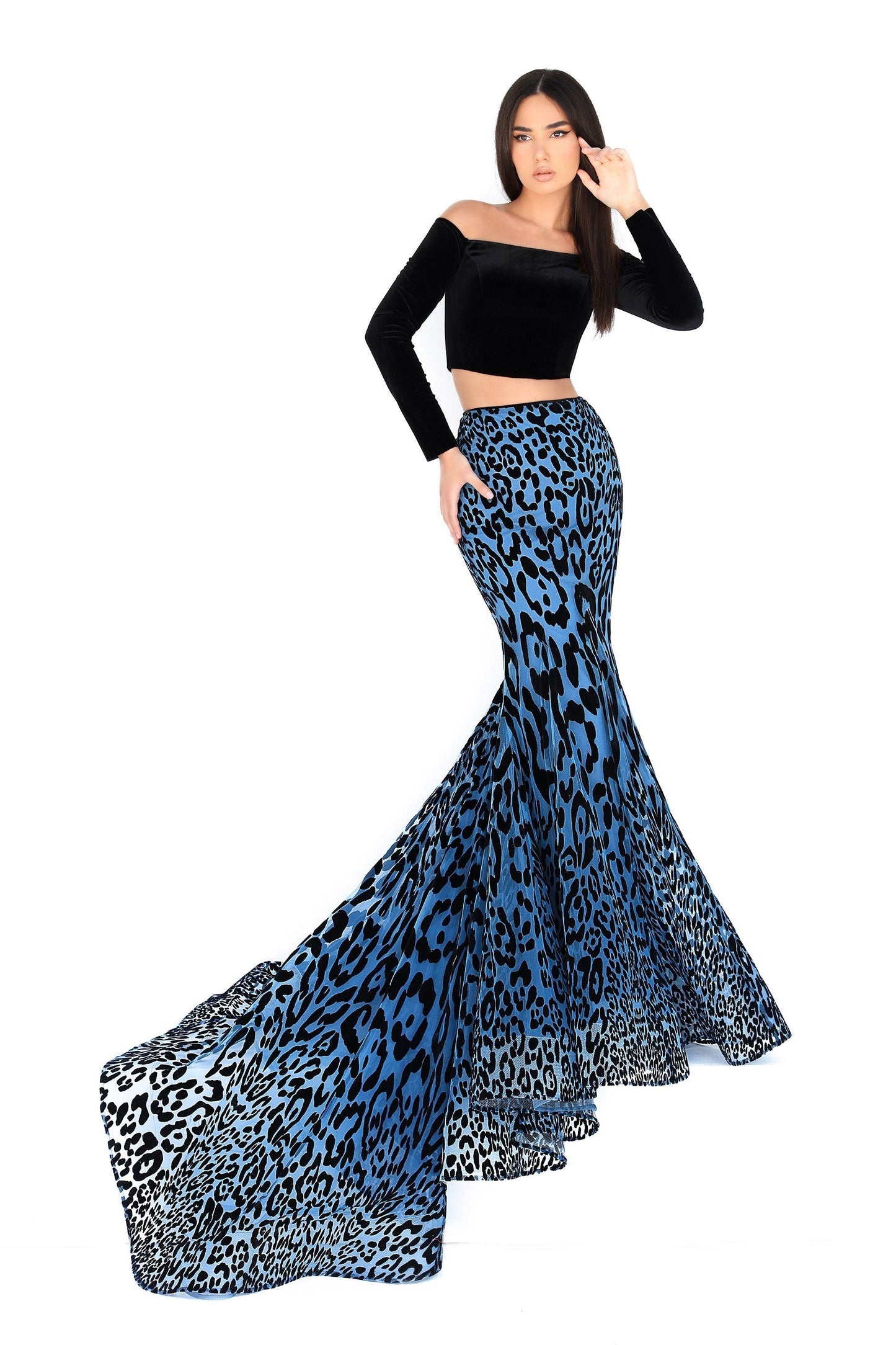 Spruce Long Sleeve Top and Skirt