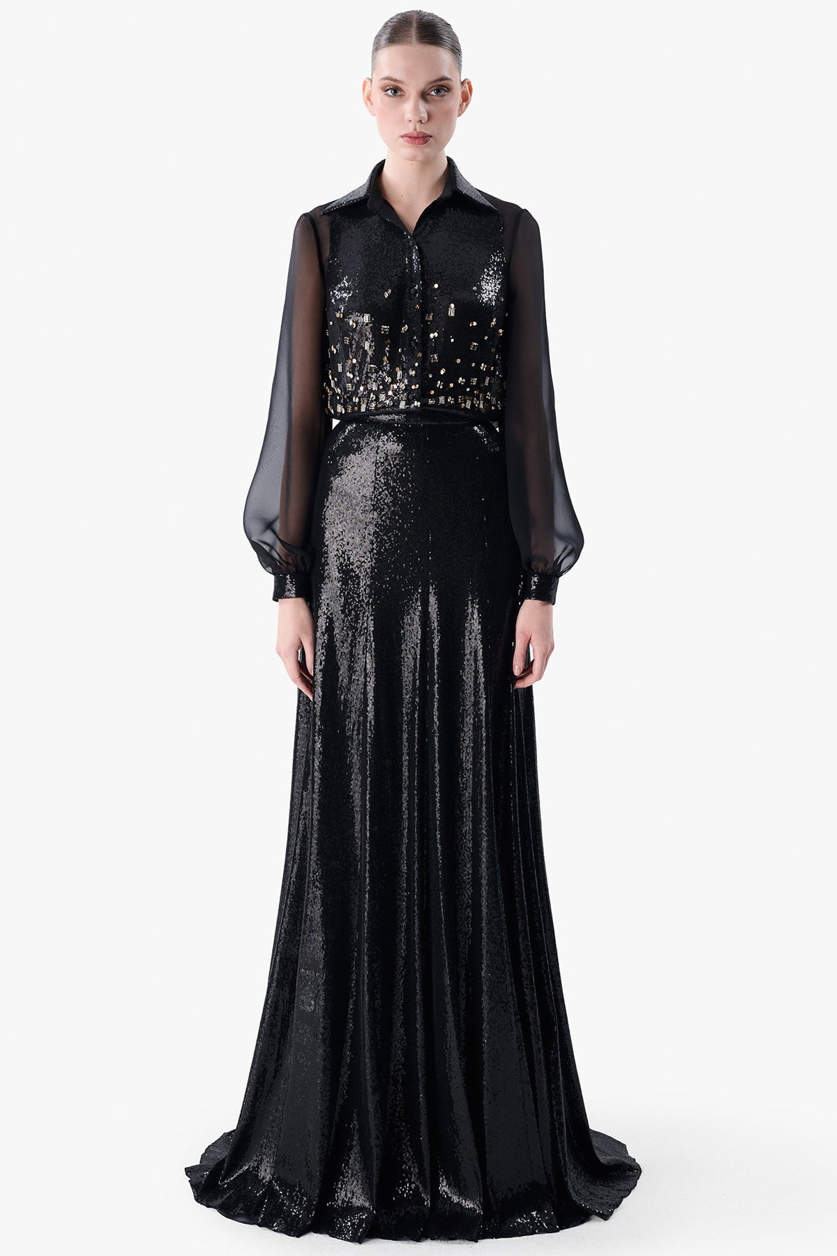 Sheer Sleeve Blouse with Sequined Skirt