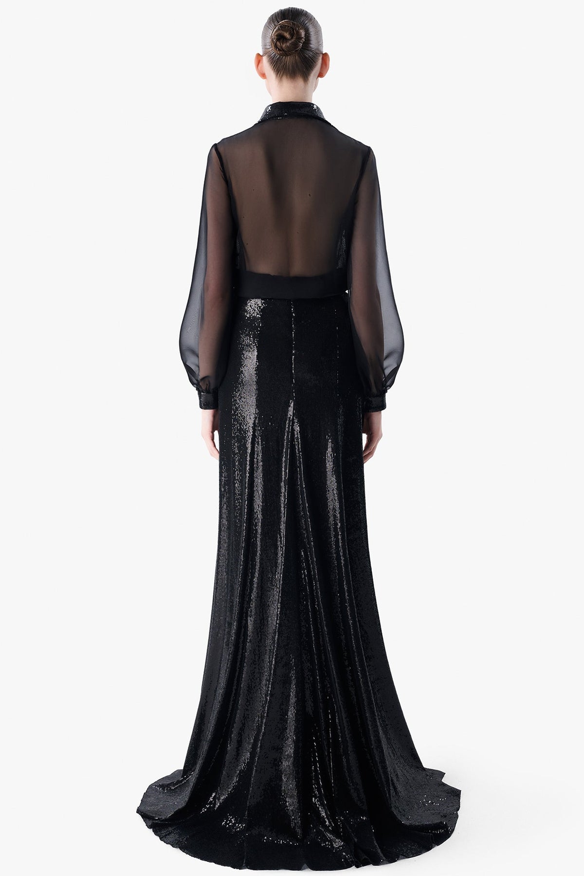 Sheer Sleeve Blouse with Sequined Skirt