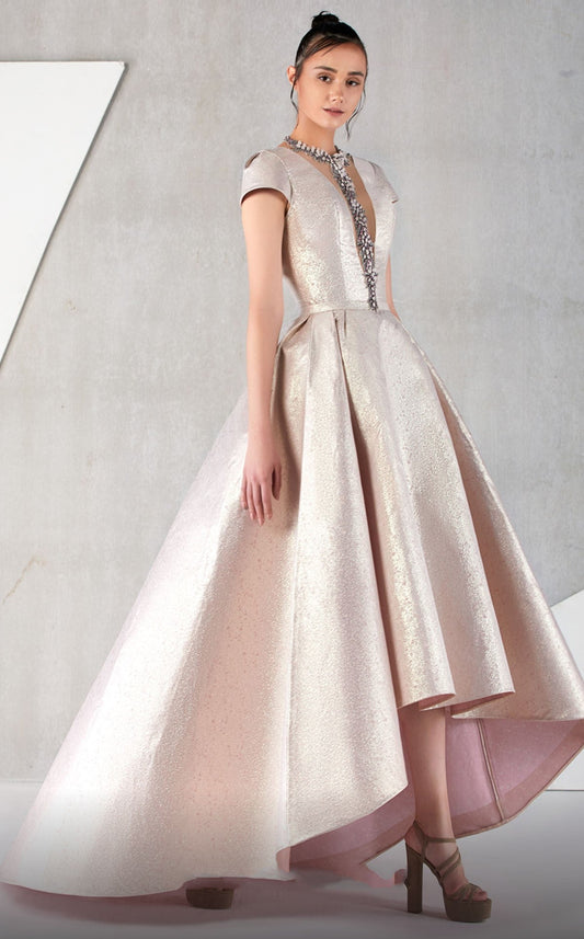 Short Sleeve High-Low A-Line Gown