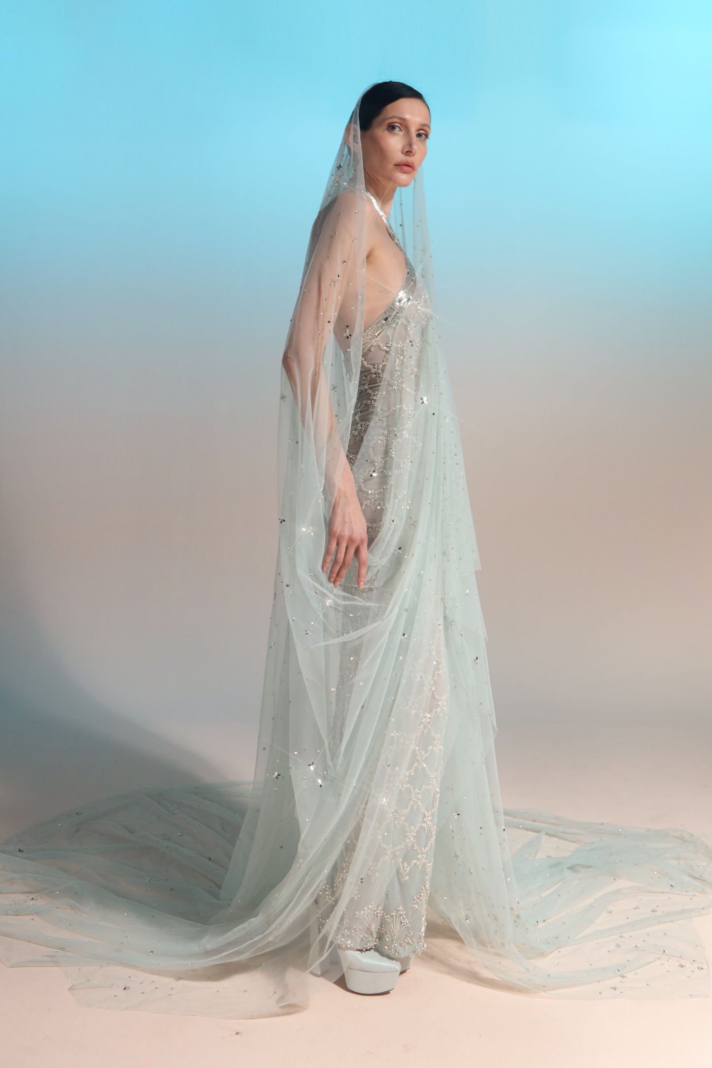 Halter-Neck Sheer Cape Gown