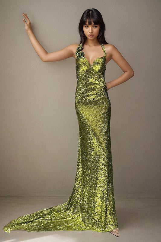 Sleeveless Hayden Evening Gown