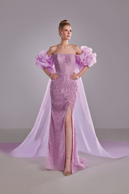 Embroidered Dress with Organza Cape