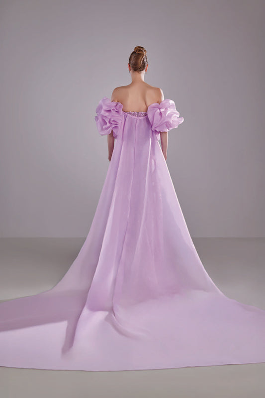 Embroidered Dress with Organza Cape