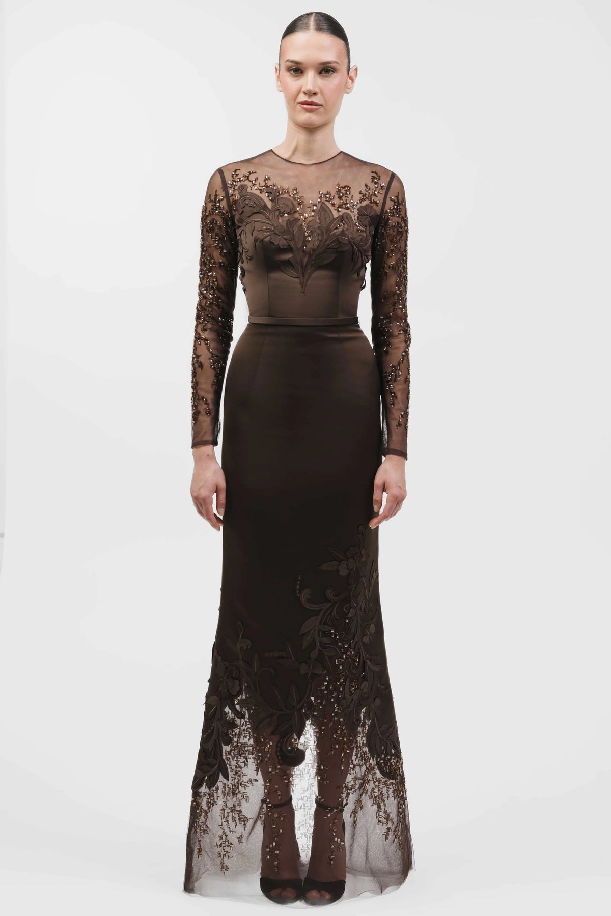 Embroidered Sheer Long-Sleeve Gown