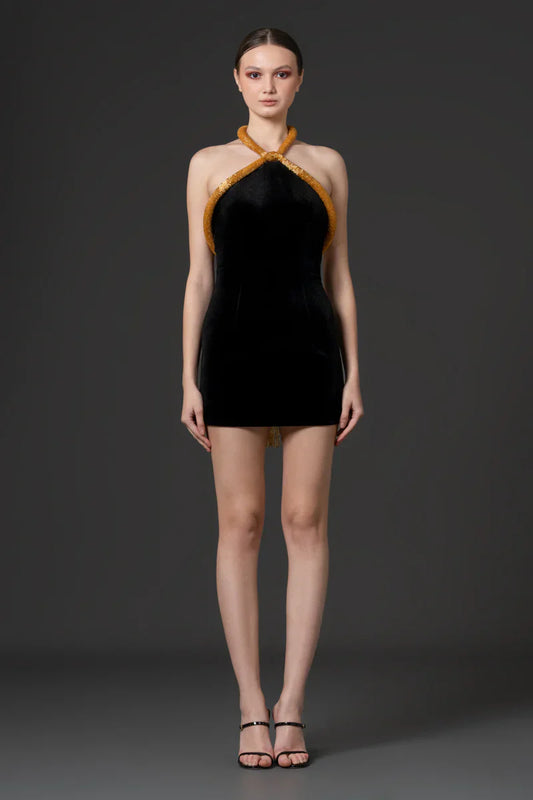 Velvet Mini Dress