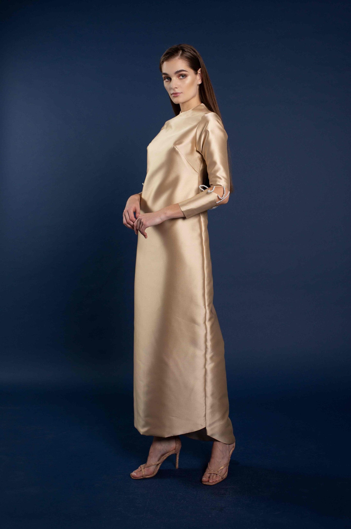 Aasha Fitted Dress