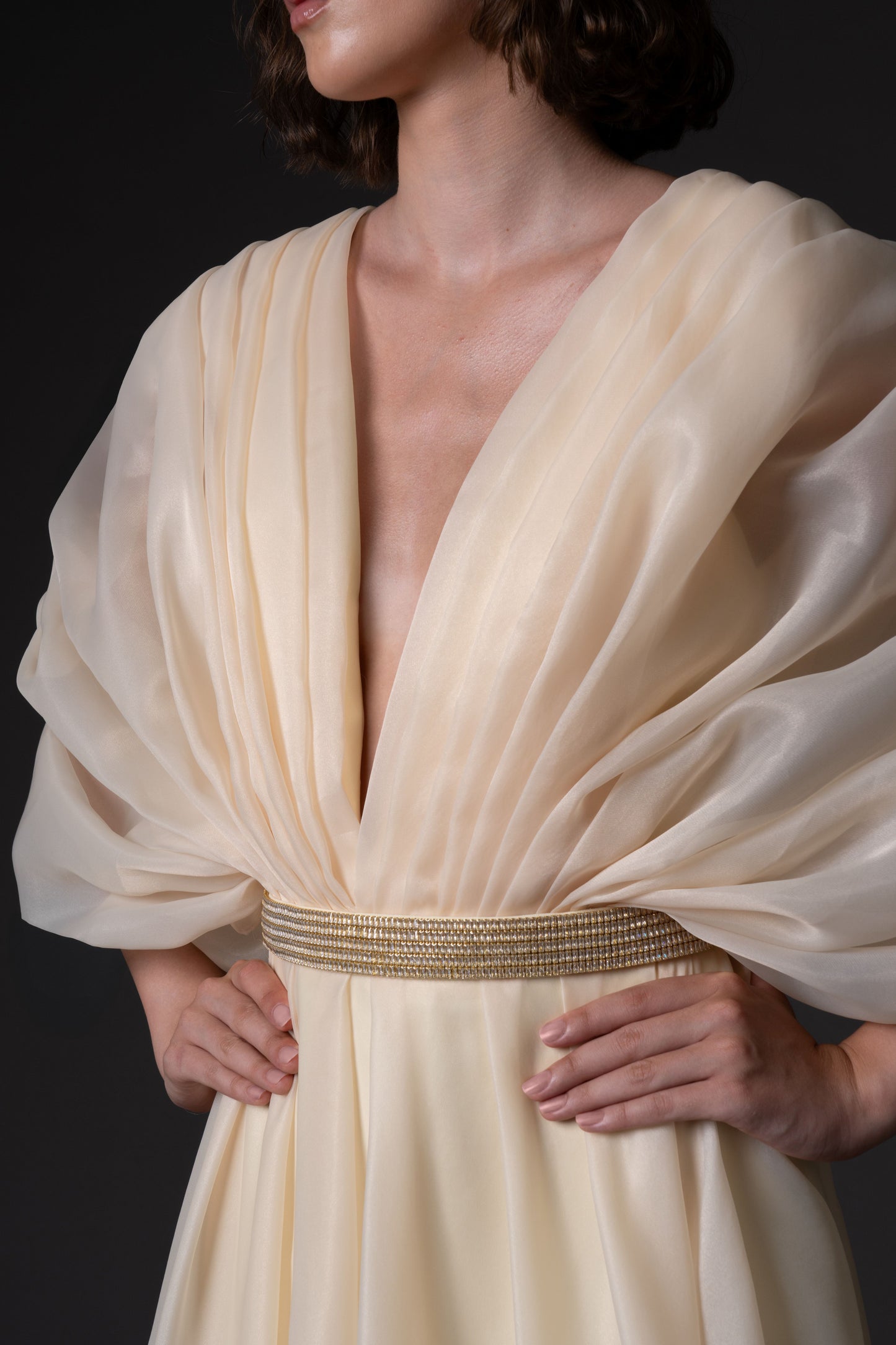 Organza Dress with Voluminous Sleeves