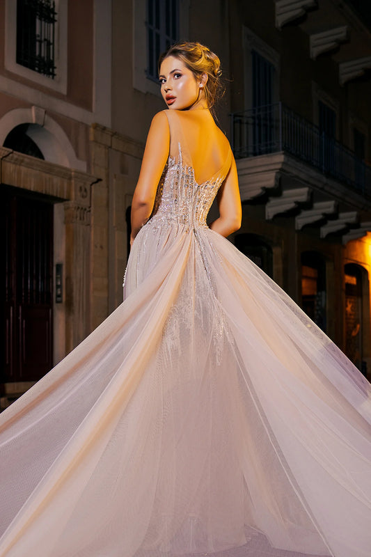 Sheer Embellished V-Neck Gown