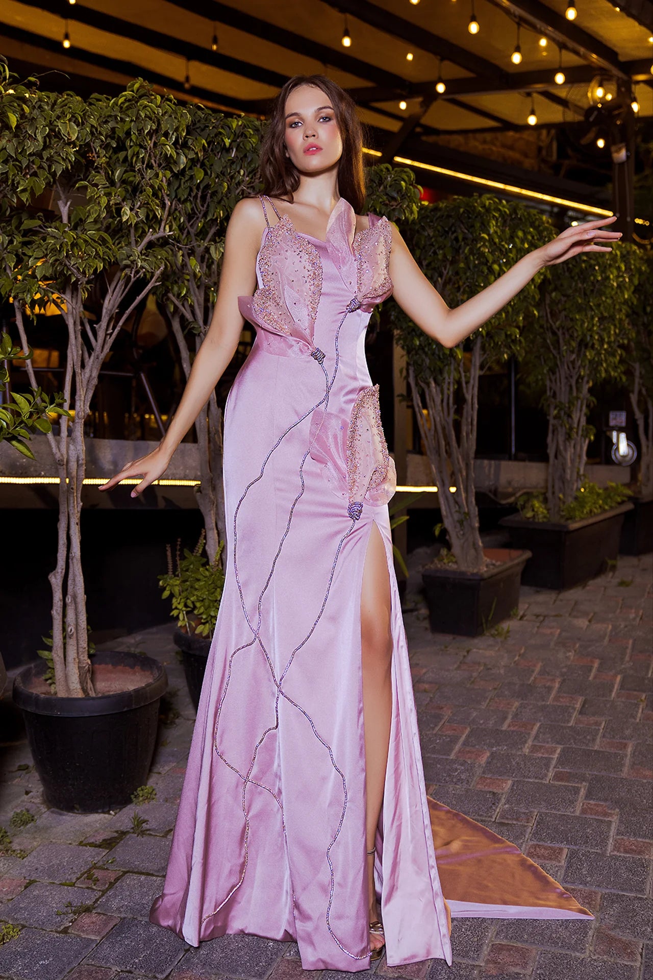 Sleeveless Embroidered Floral Applique Gown