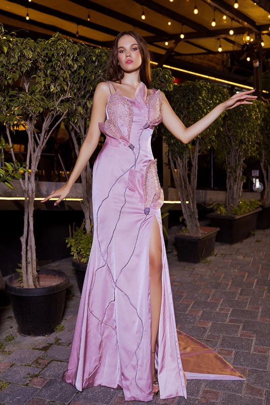 Sleeveless Embroidered Floral Applique Gown