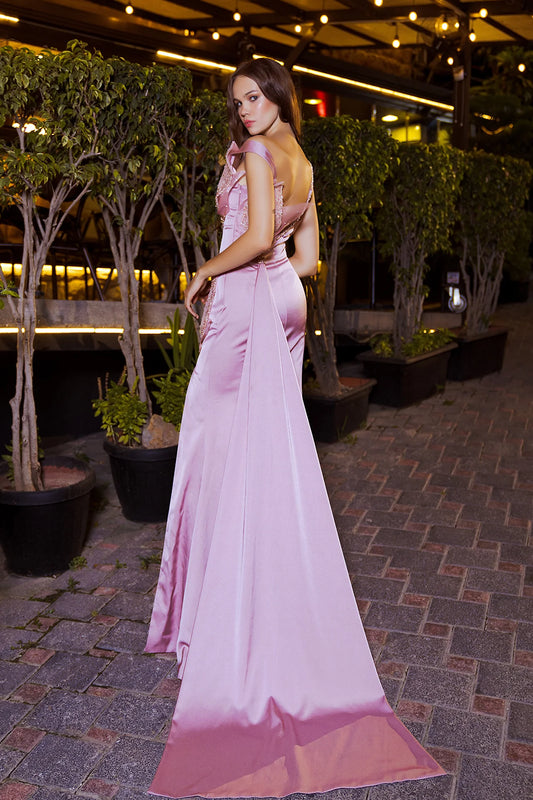 Sleeveless Embroidered Floral Applique Gown