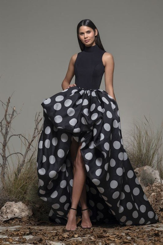 Bosaro Sleeveless High-Low Gown