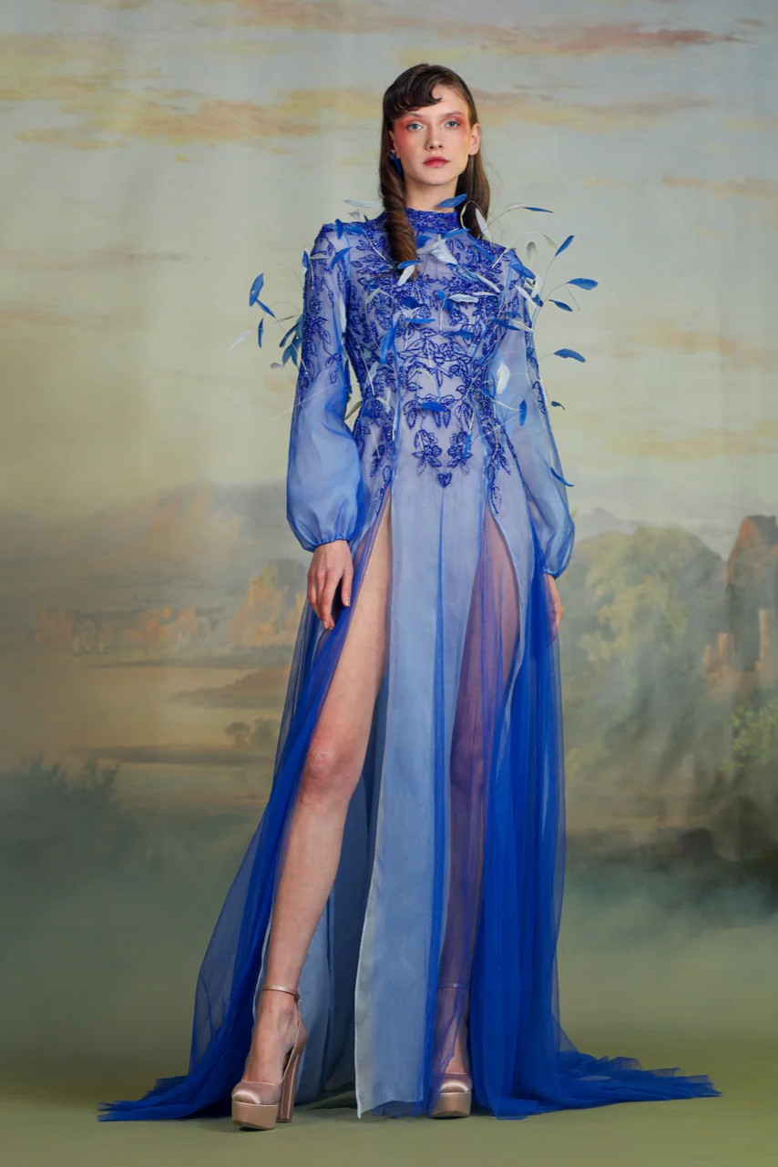 Long Sleeve Feather Plume Gown