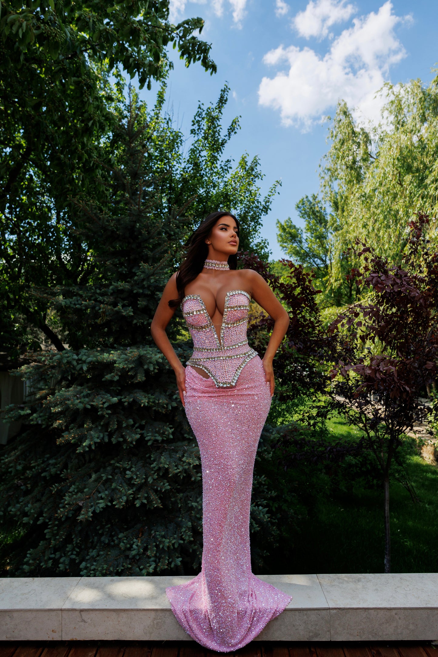 Strapless Neck Collar Gown