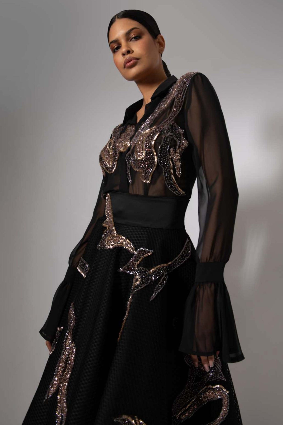 Sheer Sleeve Embroidered Blouse