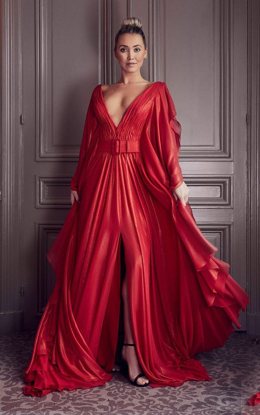 Plunging Neck Long Sleeve Gown