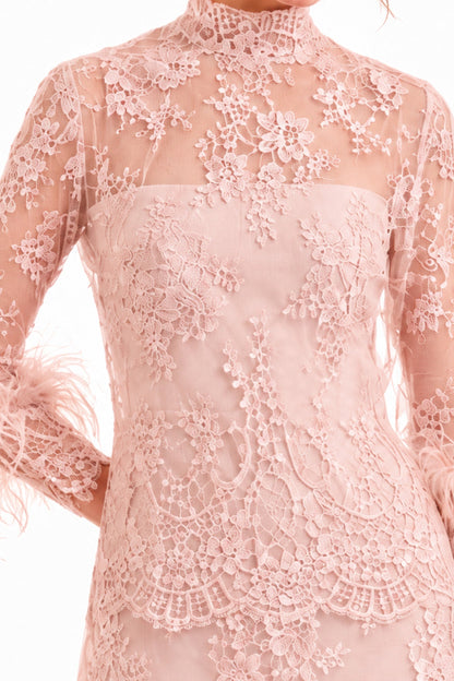 Lace Feather-Trim Top and Cage Skirt Set - Pink