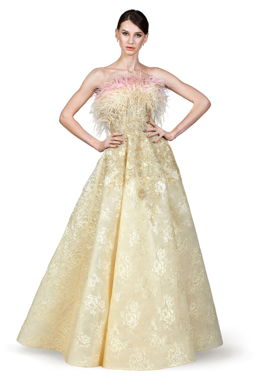 Feathered A-Line Gown
