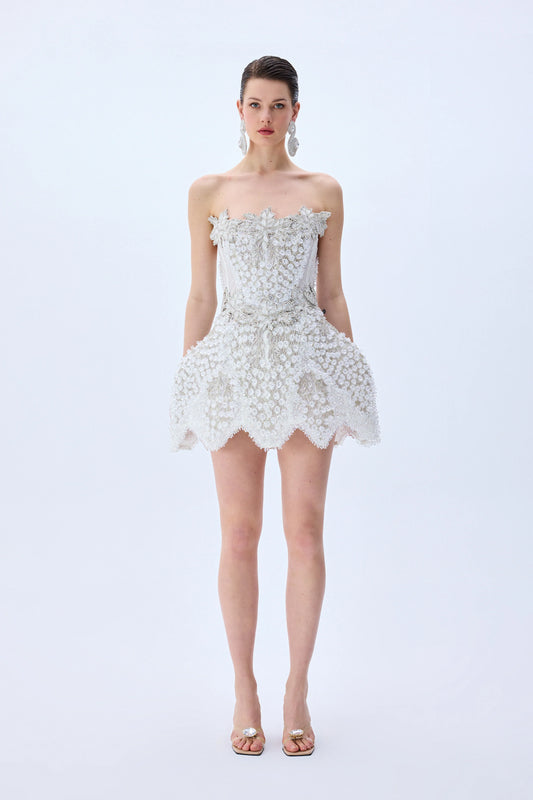 Grape Embroidered Structural Mini Dress
