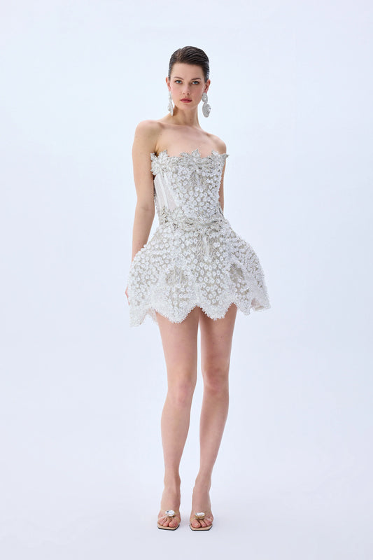 Grape Embroidered Structural Mini Dress