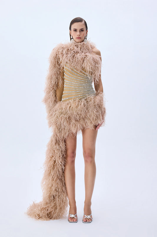 Tulle One Shouldered Mini Dress