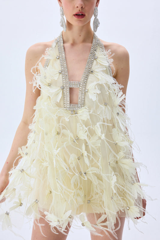 Mini Tulle Ivory Dress