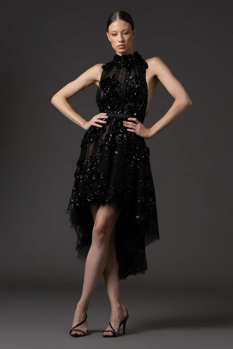 Halter Neck Black Tulle Dress