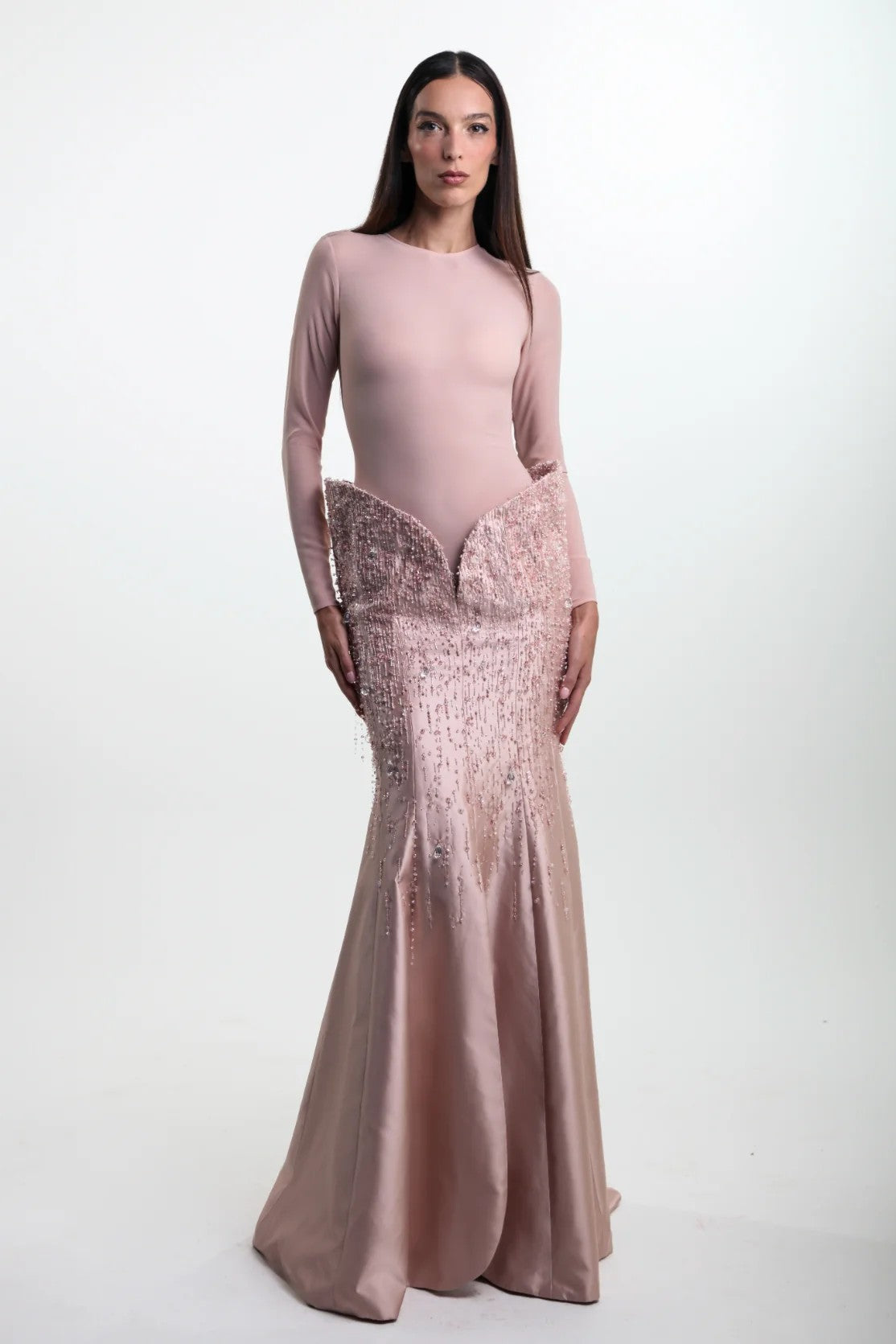 Long Sleeve Mermaid Gown