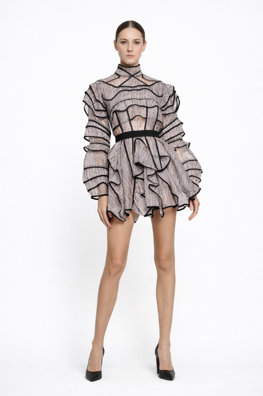 Long Sleeve Mini Dress