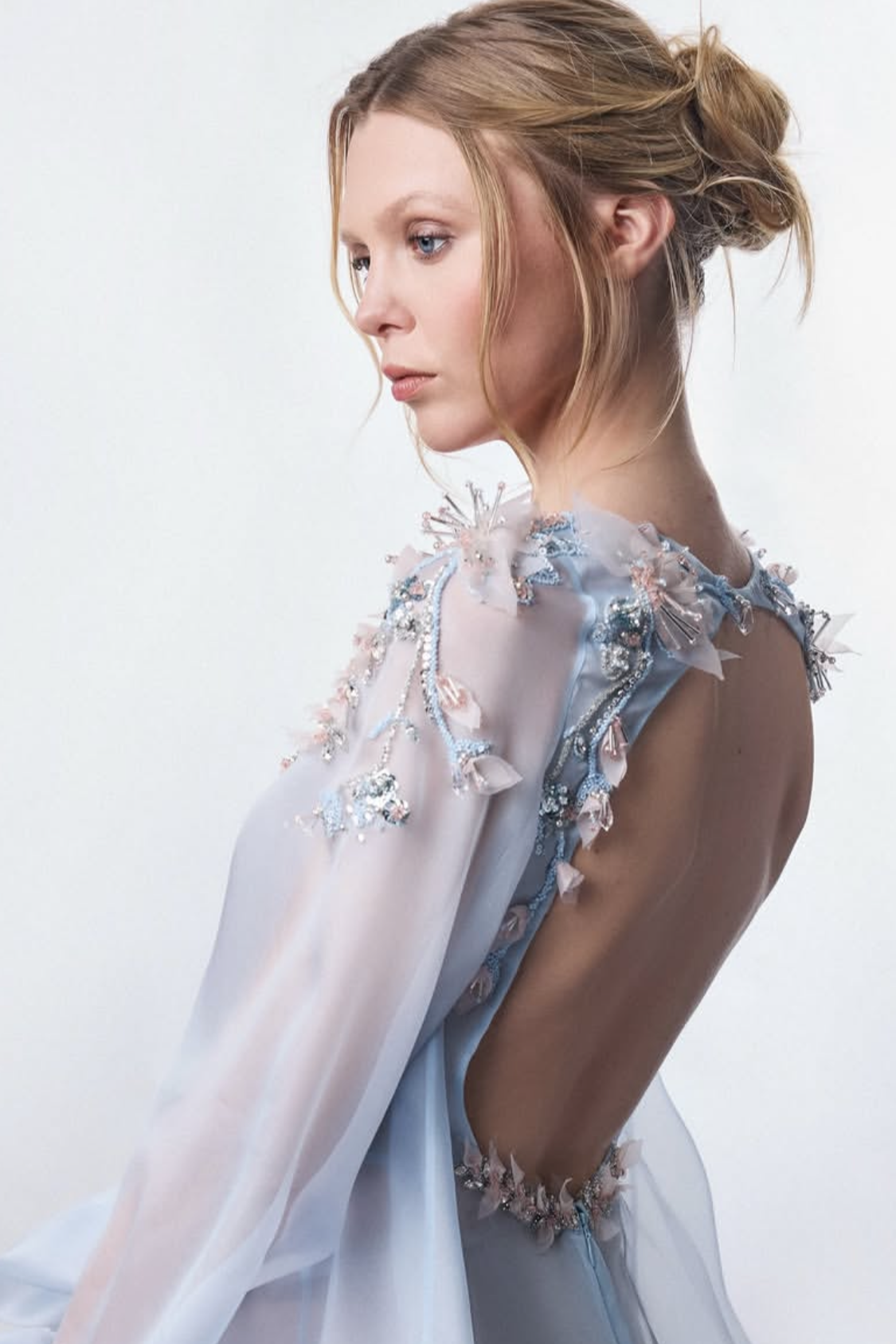 Long Sleeve Sheer Gown