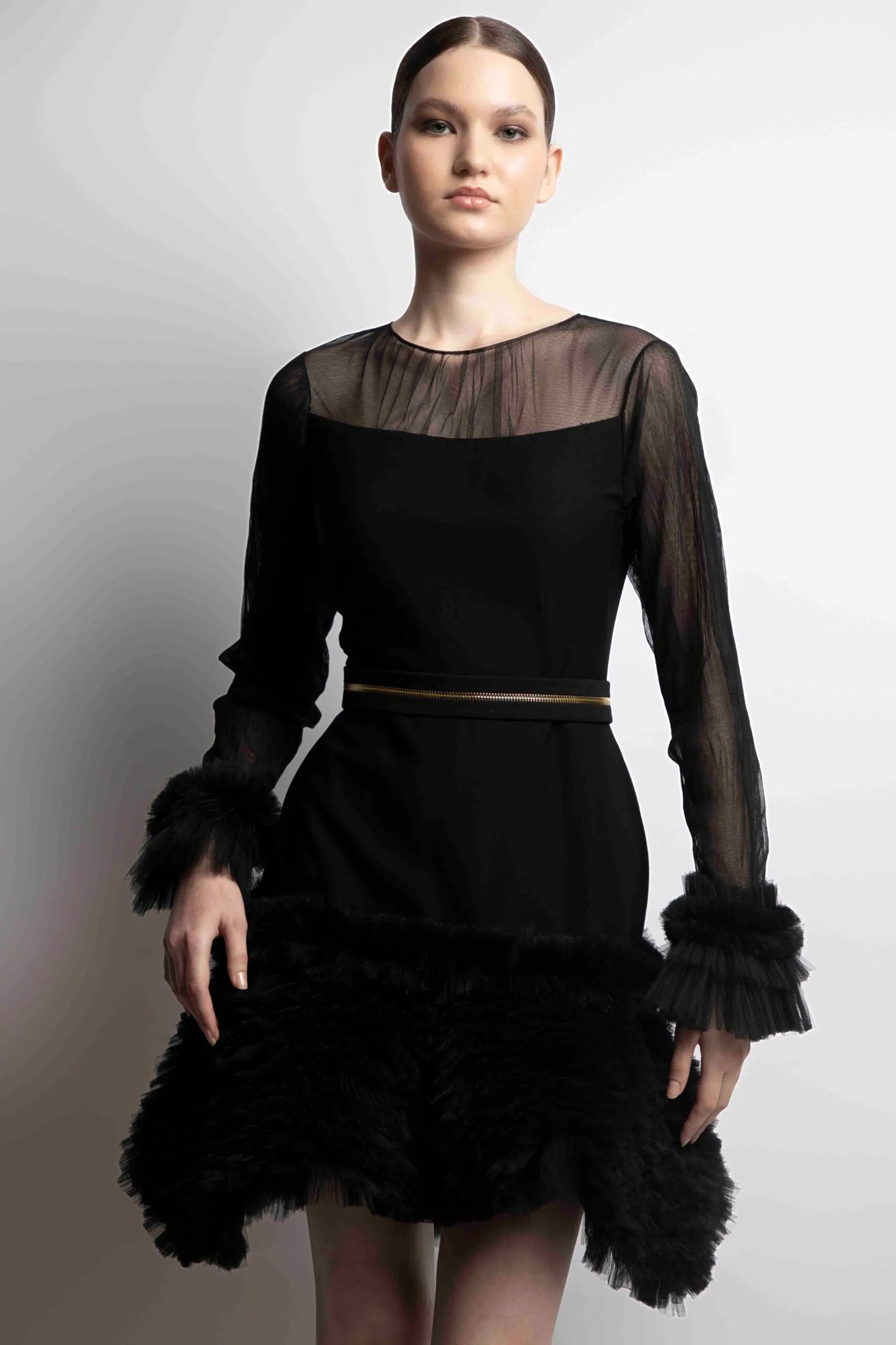 Long Sleeve Mini Dress