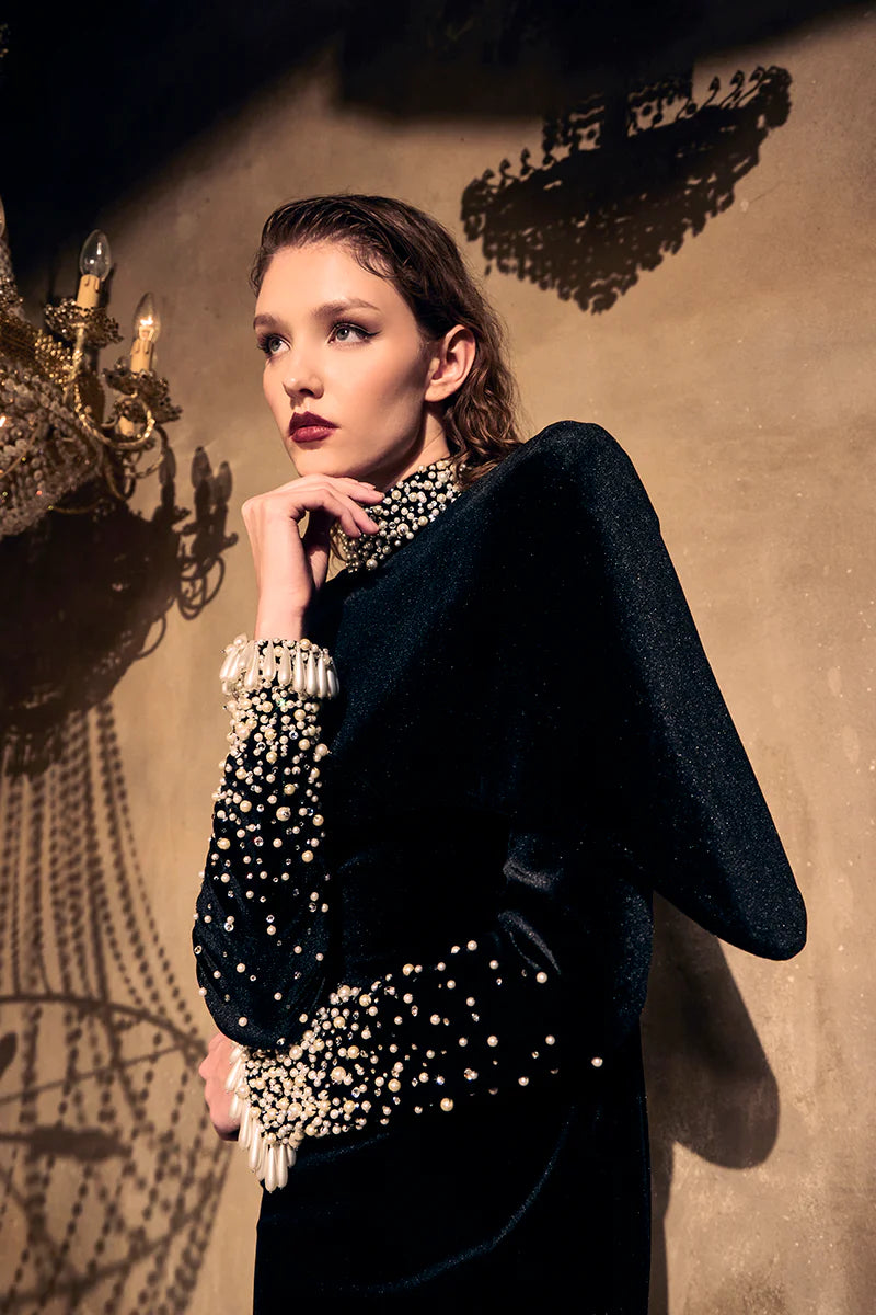 Black Velvet Embroidered Dress