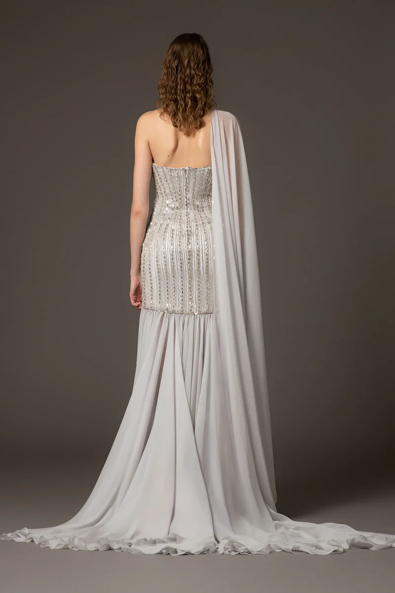 Light Grey Dress with Chiffon Skirt