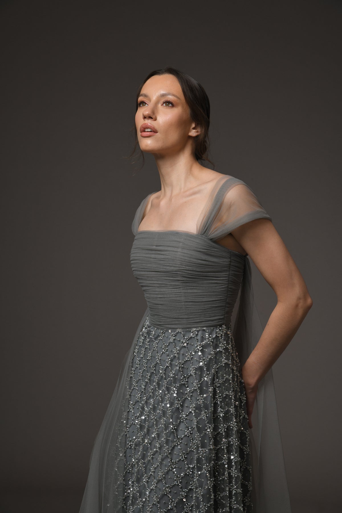 Tulle Embroidered Dress