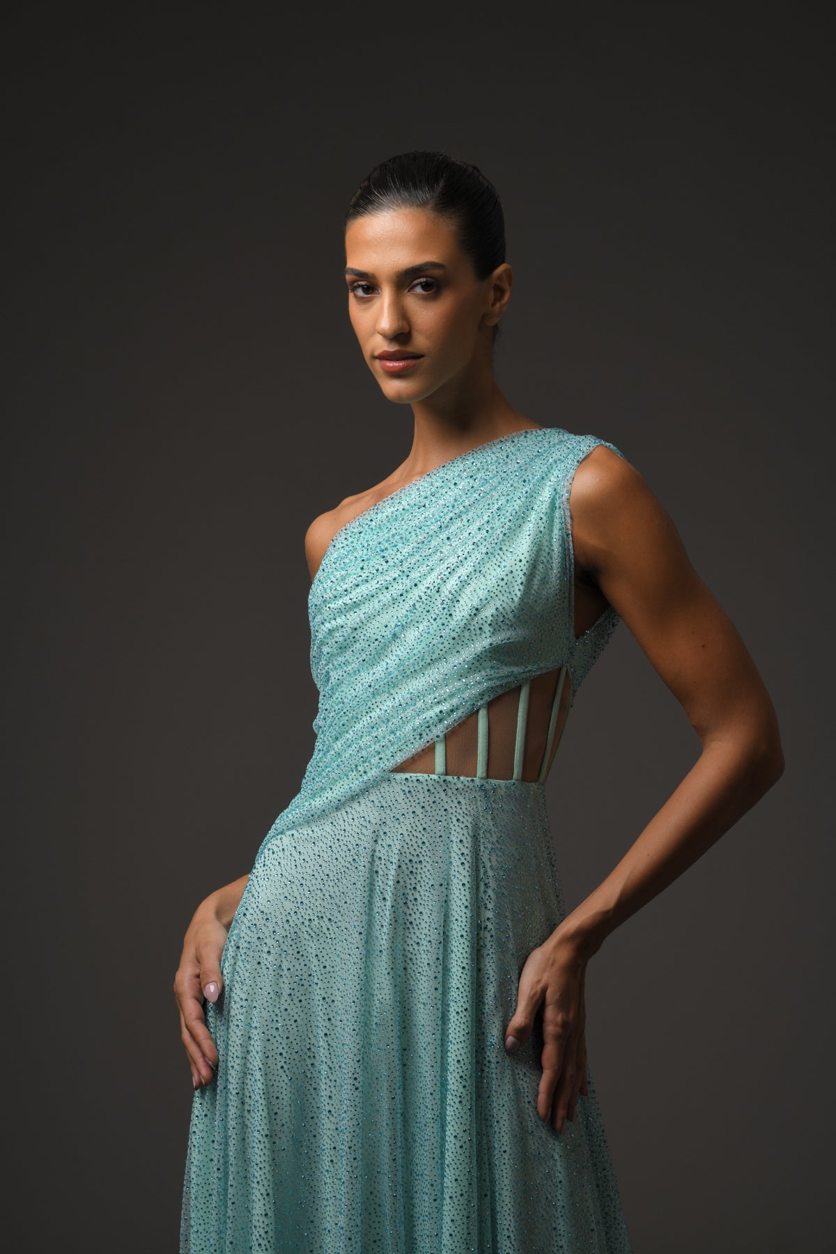 Embroidered Corseted Tulle Dress