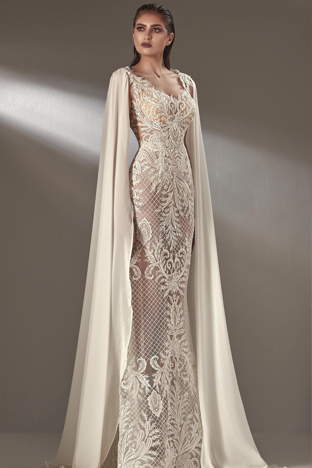 Long Cape Sleeve Column Gown