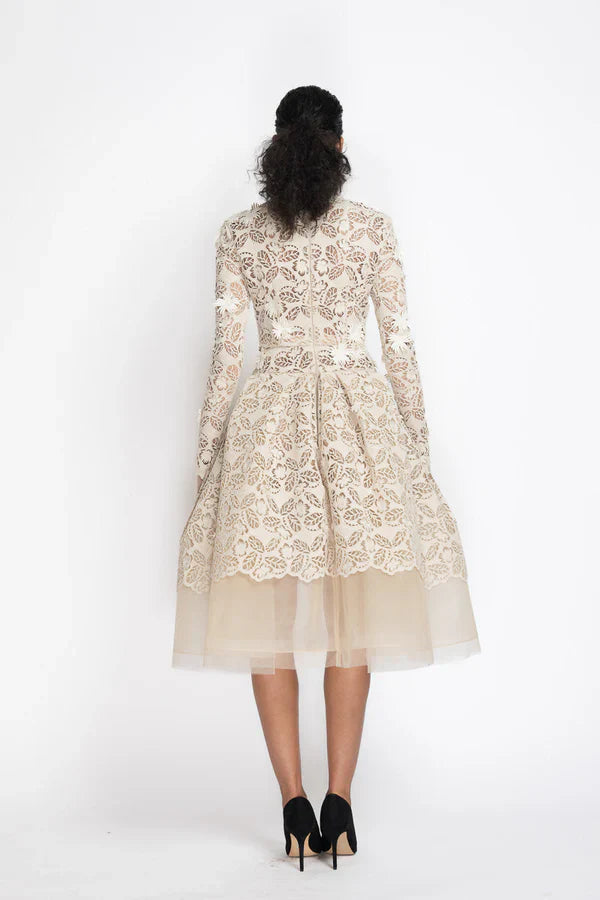 Jasmine Web Lace Dress with Dropped Waist