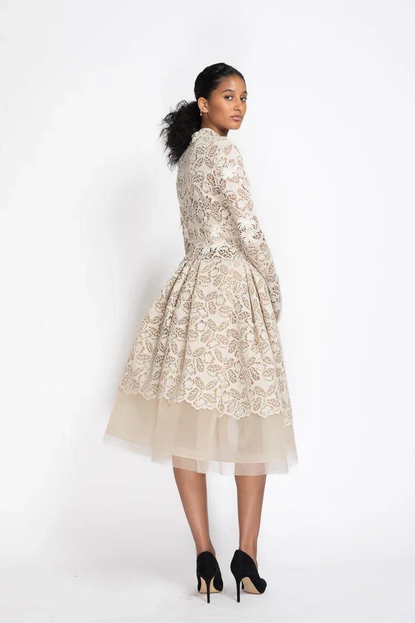 Jasmine Web Lace Dress with Dropped Waist