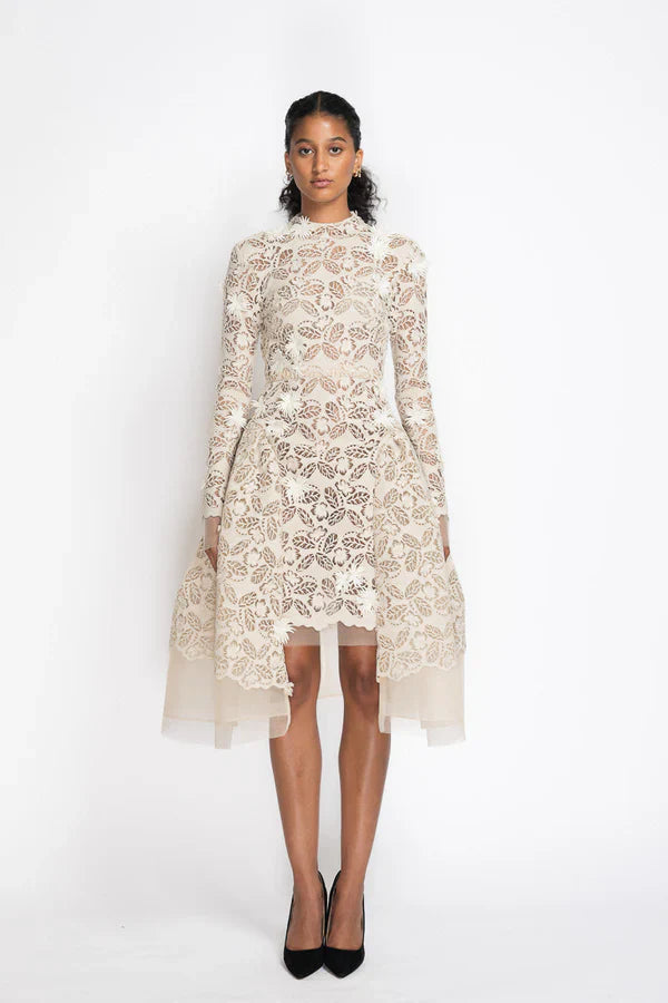 Jasmine Web Lace Dress with Dropped Waist