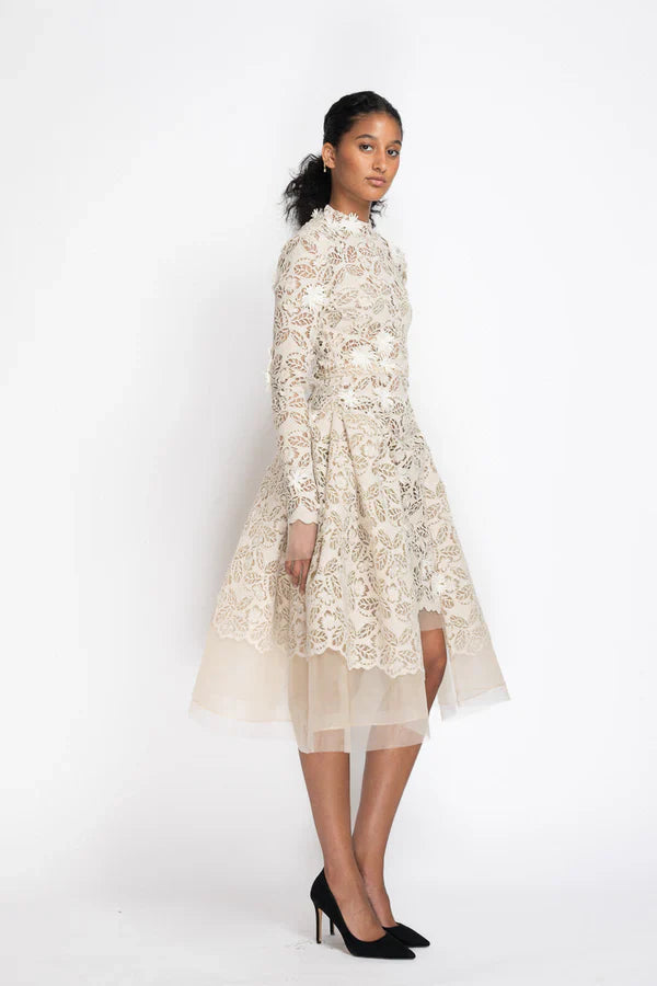 Jasmine Web Lace Dress with Dropped Waist
