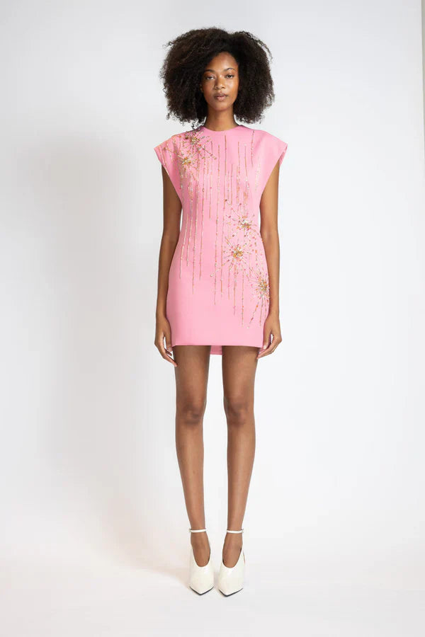 Camellia Embroidered Cady Mini Shift Dress