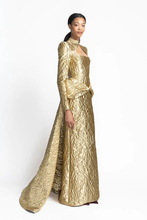 Hema Embossed Gold Jacquard Gown