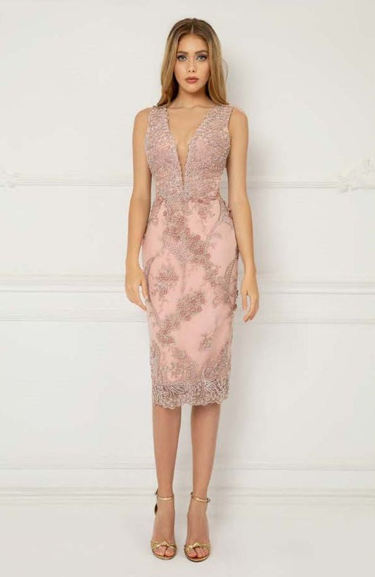 Sleeveless Embroidered Tulle Dress