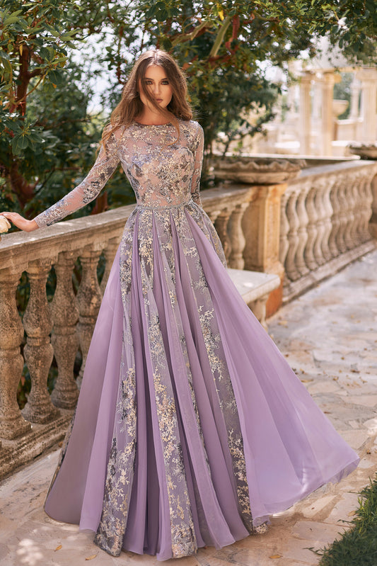 Lace Embroidered Tulle Gown