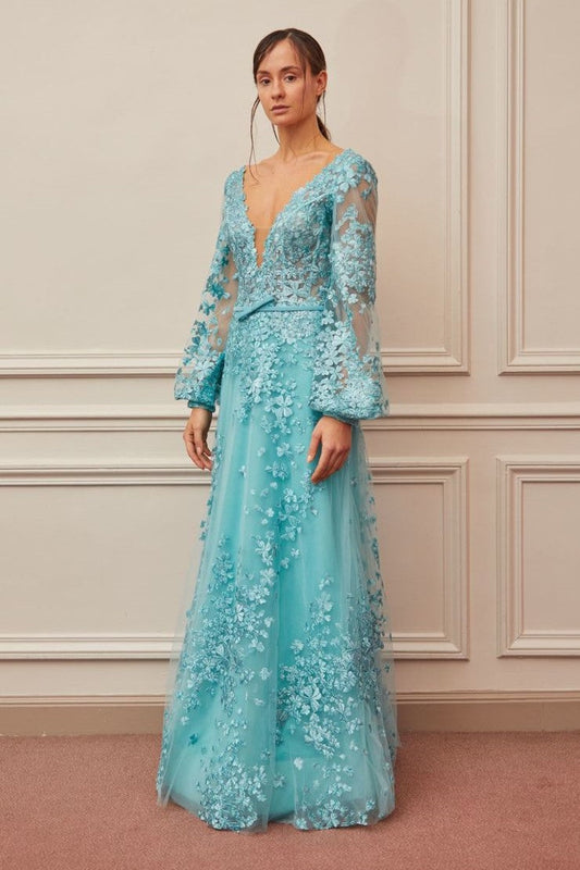 Long Sleeve Plunging Neck Gown